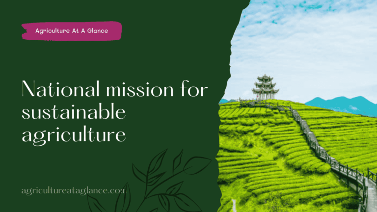 National Mission For Sustainable Agriculture