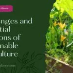 Challenges and Potential Solutions of Sustainable Agriculture