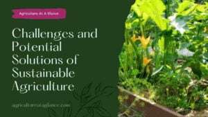 Challenges and Potential Solutions of Sustainable Agriculture