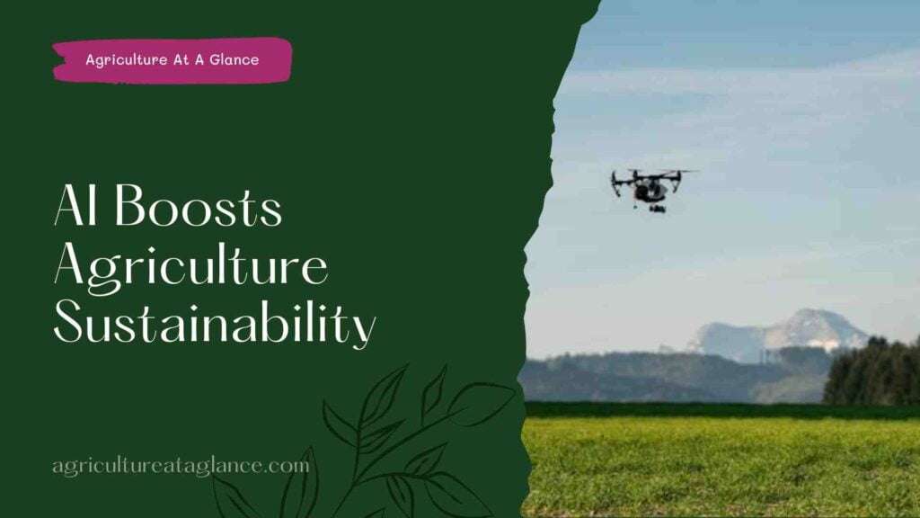 AI Boosts Agriculture Sustainability ( AI boost agriculture sustainability)