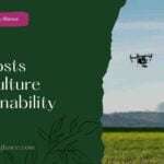 AI Boosts Agriculture Sustainability ( AI boost agriculture sustainability)
