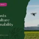 AI Boosts Agriculture Sustainability ( AI boost agriculture sustainability)