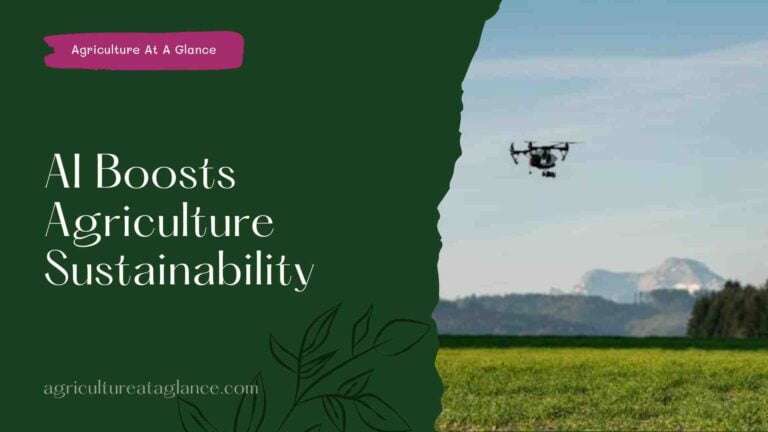 AI Boosts Agriculture Sustainability ( AI boost agriculture sustainability)