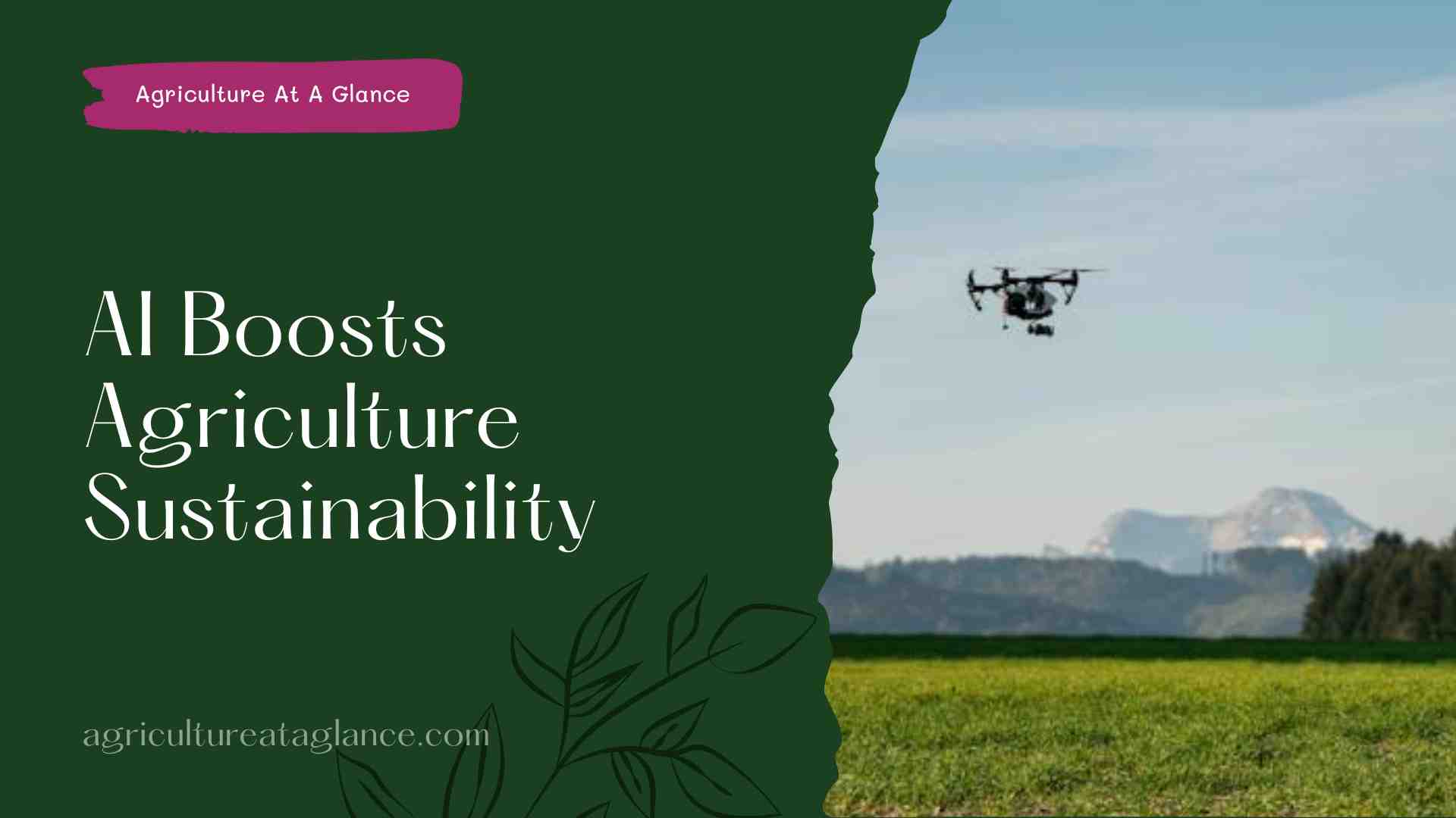 AI Boosts Agriculture Sustainability ( AI boost agriculture sustainability)