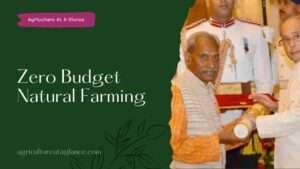 Zero Budget Natural Farming | ZBNF In India