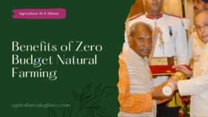 Benefits of Zero Budget Natural Farming