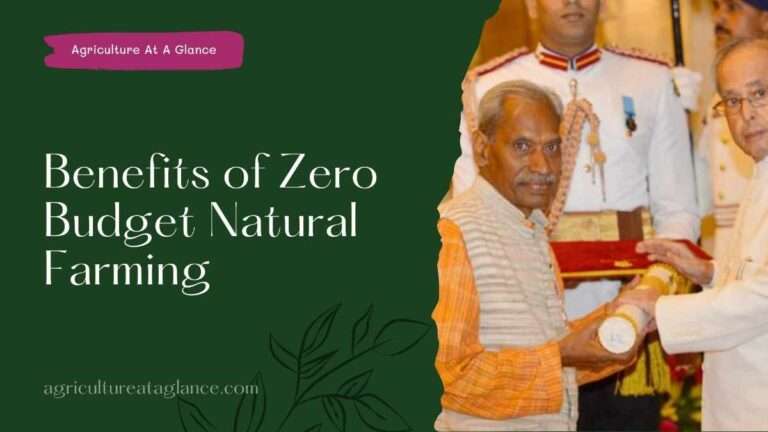 Benefits of Zero Budget Natural Farming