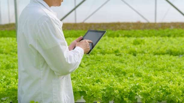 AI Boosts Agriculture Sustainability