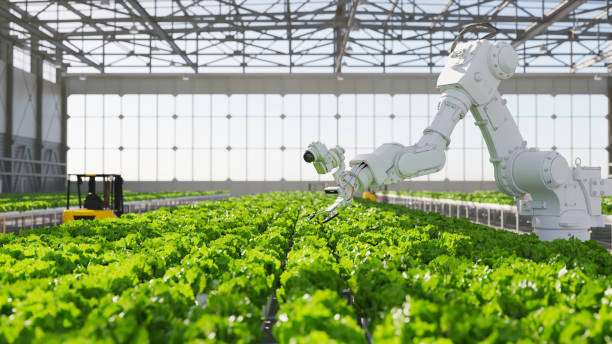 AI Boosts Agriculture Sustainability