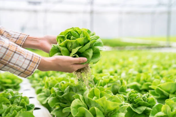 10 Innovative Technologies In Agriculture