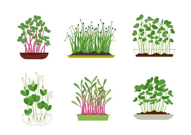 Top 11 Profitable Farming Ventures