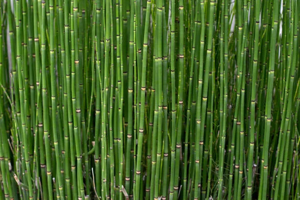 Top 11 Profitable Farming Ventures