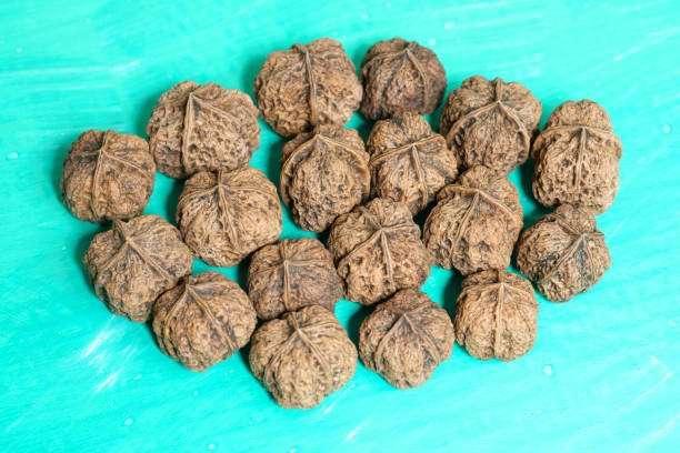 Top 11 Profitable Farming Ventures