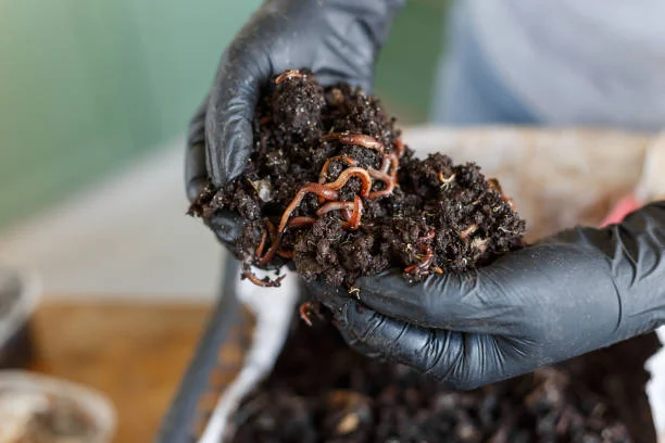 Top 11 Profitable Farming Ventures