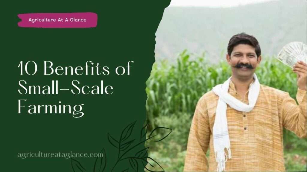 10 Benefits of Small-Scale Farming