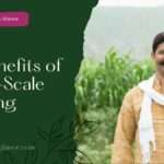 10 Benefits of Small-Scale Farming
