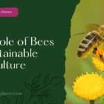The Role of Bees in Sustainable Agriculture