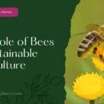 The Role of Bees in Sustainable Agriculture