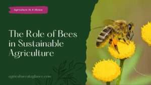 The Role of Bees in Sustainable Agriculture