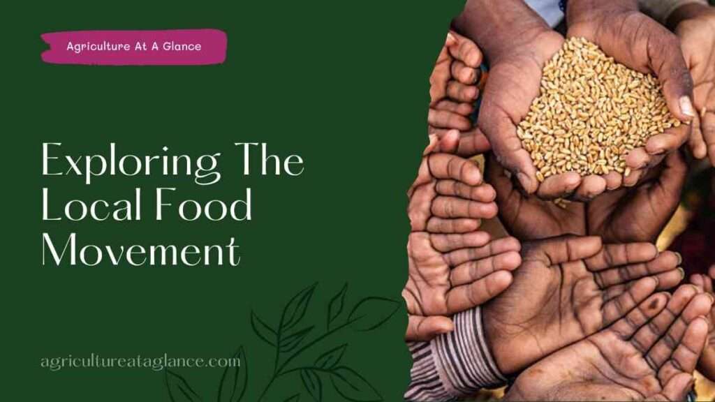 Exploring The Local Food Movement