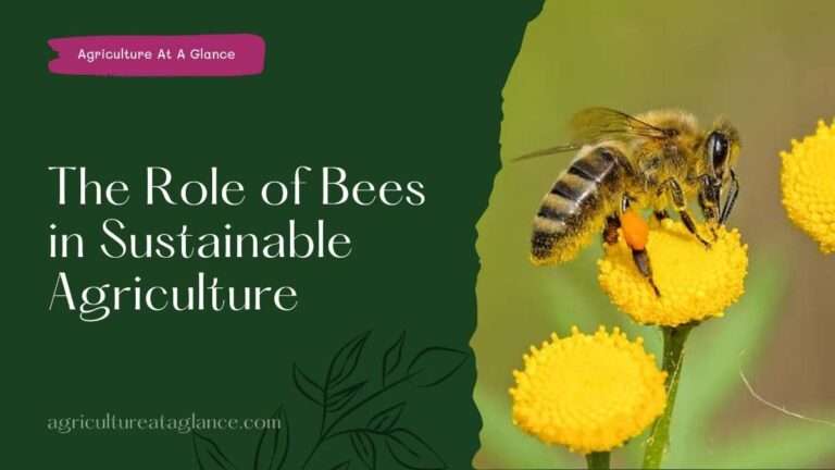 The Role of Bees in Sustainable Agriculture