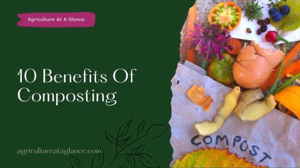 10 Benefits Of Composting (benefits of composting)
