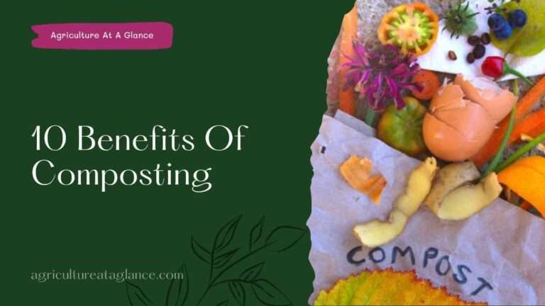 10 Benefits Of Composting (benefits of composting)