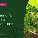 A Beginner’s Guide to Permaculture( a beginner's guide to permaculture)