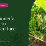 A Beginner’s Guide to Permaculture( a beginner's guide to permaculture)