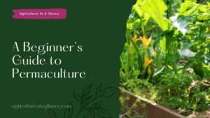 A Beginner’s Guide to Permaculture( a beginner's guide to permaculture)
