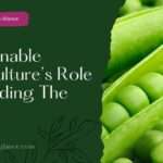 Sustainable Agriculture’s Role In Feeding The World(sustainable agriculture role to feeding the world)