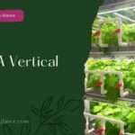 10 Steps To Build A Vertical Farm In Your Backyard (build a vertical farm)
