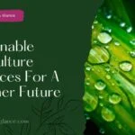 10 Sustainable Agriculture Practices For A Greener Future