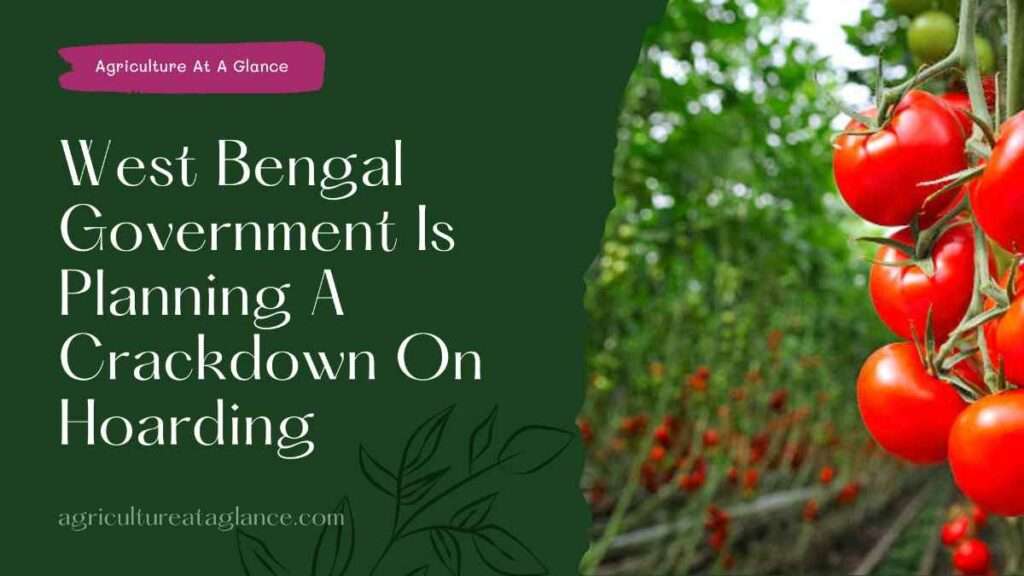 West Bengal Government Is Planning A Crackdown On Hoarding