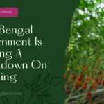 West Bengal Government Is Planning A Crackdown On Hoarding