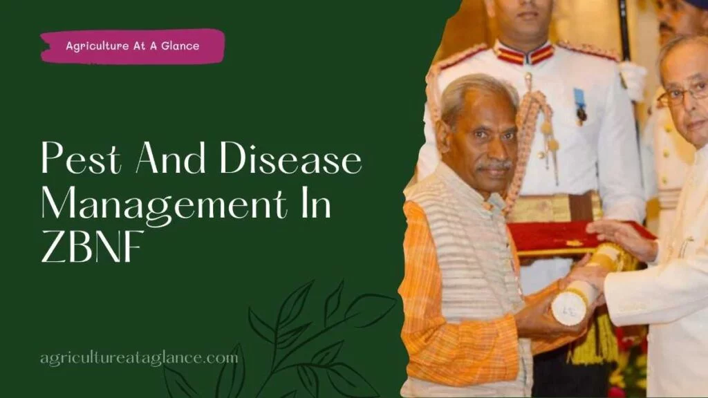 10 Useful Points On Pest And Disease Management In ZBNF(pest and disease in ZBNF)