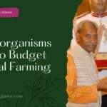 Role of Microorganisms in Zero Budget Natural Farming