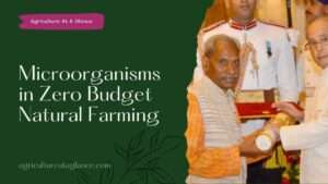 Role of Microorganisms in Zero Budget Natural Farming