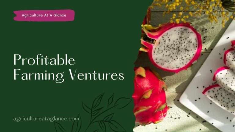 Top 11 Profitable Farming Ventures(11 most profitable farming venture)