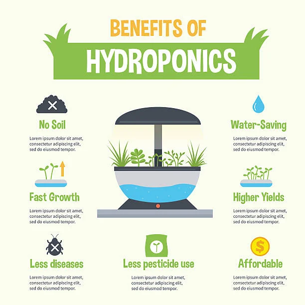 Aquaponics or Hydroponics What Is The Best