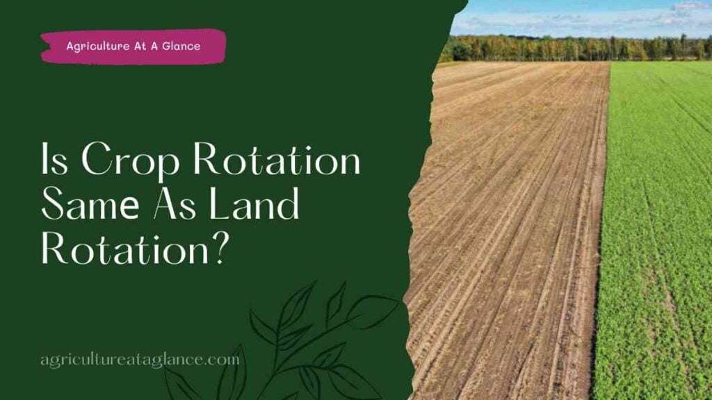 Is Crop Rotation Samе As Land Rotation? (is crop rotation same as land rotation)