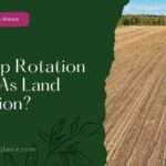 Is Crop Rotation Samе As Land Rotation? (is crop rotation same as land rotation)