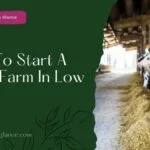 How To Start A Dairy Farm In Low Cost (start dairy farm in low cost)