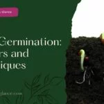 Seed Germination: Factors and Techniques (seed germination)
