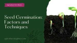 Seed Germination: Factors and Techniques (seed germination)