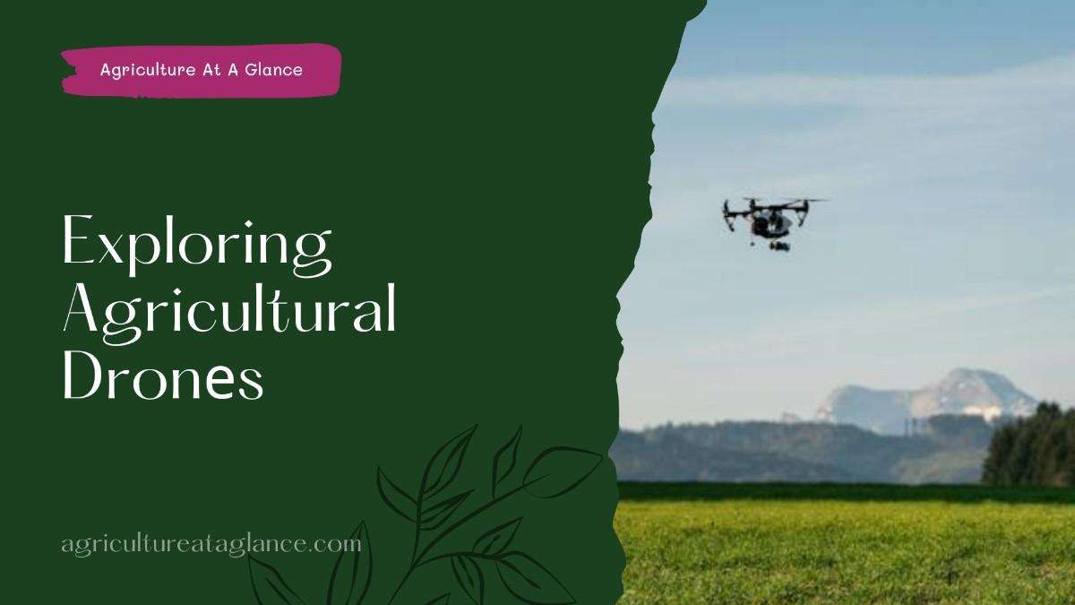 Exploring Agricultural Dronеs: Enhancing Farming Practicеs in India