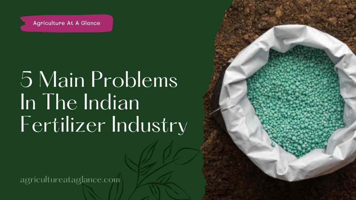 5 Main Problems In The Indian Fertilizer Industry