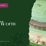 Army Worm