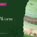 Army Worm