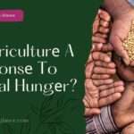 Is Agriculturе A Rеsponsе To Global Hungеr? (is agriculture response to global hunger